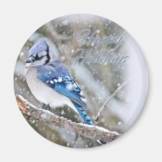 Blue Jay in Snow Christmas Holiday Magnet (Vorne)
