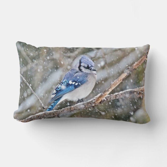 Blue Jay in Snowstorm Lendenkissen (Vorderseite)