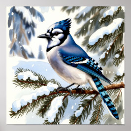 Blue Jay in Snowy Pines Watercolor Winter Bird Poster
