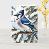 Blue Jay in Snowy Pines Winter Greeting Karte (Gelbe Blume)