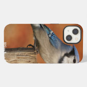 Blue Jay iPhone Hülle (Rückseite (Horizontal))
