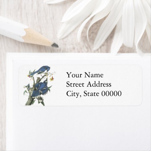 Blue Jay, John Audubon (Insitu)