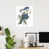 Blue Jay, John Audubon Poster (Heimbüro)