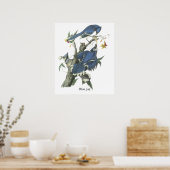 Blue Jay, John Audubon Poster (Küche)