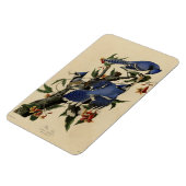 Blue Jay - John James Audubons Vögel in Amerika Magnet (Linke Seite)