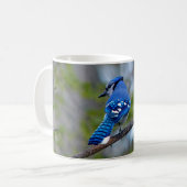 Blue Jay Kaffeetasse (Vorderseite Links)