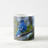 Blue Jay Kaffeetasse (Mittel)