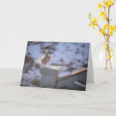 Blue Jay Karte (Gelbe Blume)