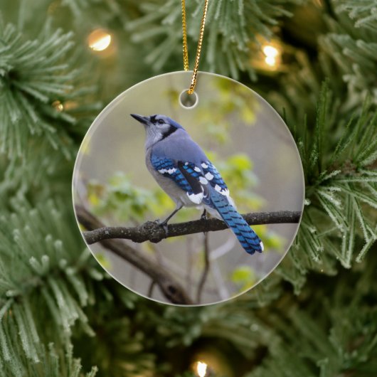 Blue Jay | KERAMIK Ornament (Baum)