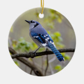Blue Jay | KERAMIK Ornament (Vorne)