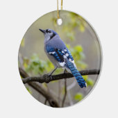 Blue Jay | KERAMIK Ornament (Links)