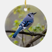 Blue Jay | KERAMIK Ornament (Hinten)