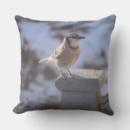 Blue Jay Kissen