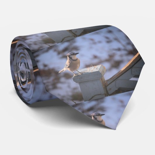 Blue Jay Krawatte (Gerollt)