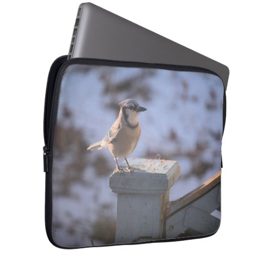 Blue Jay Laptopschutzhülle (Vorne Rechts)