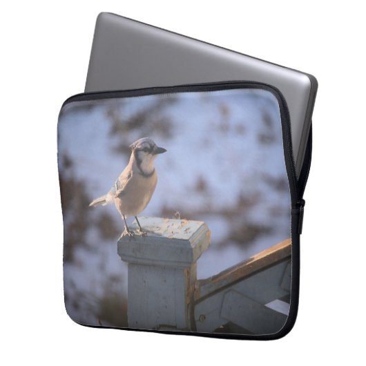 Blue Jay Laptopschutzhülle (Vorderseite Links)