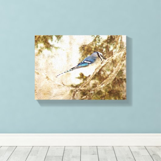 Blue Jay Leinwanddruck (Insitu (Holzboden))