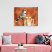 Blue Jay Leinwanddruck (Insitu (Wohnzimmer))