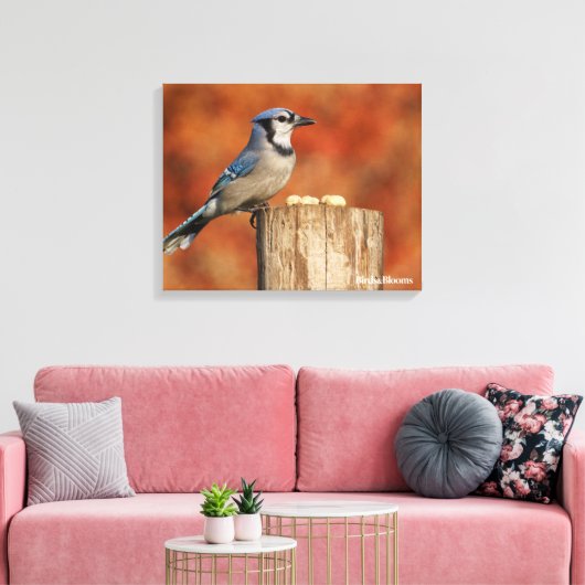 Blue Jay Leinwanddruck (Insitu (Wohnzimmer))