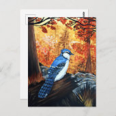 Blue Jay Life Postkarte (Vorne/Hinten)
