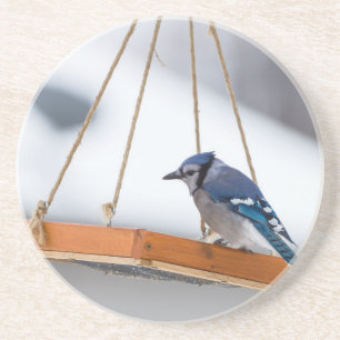 Blue Jay Lunch Getränkeuntersetzer