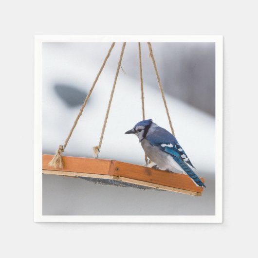 Blue Jay Lunch Serviette (Vorderseite)