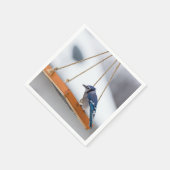 Blue Jay Lunch Serviette (Ecke)