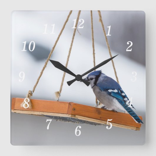 Blue Jay Lunch Wall Clock Quadratische Wanduhr (Vorderseite)
