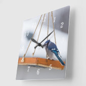 Blue Jay Lunch Wall Clock Quadratische Wanduhr (Winkel)