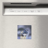Blue Jay Magnet (In Situ (Geschirrspüler))