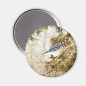 Blue Jay Magnet (Vorderseite/Rückseite)