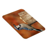 Blue Jay Magnet (Rechte Seite)