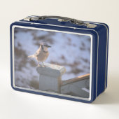 Blue Jay Metall Brotdose (Rückseite)