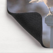 Blue Jay Mousepad (Ecke)