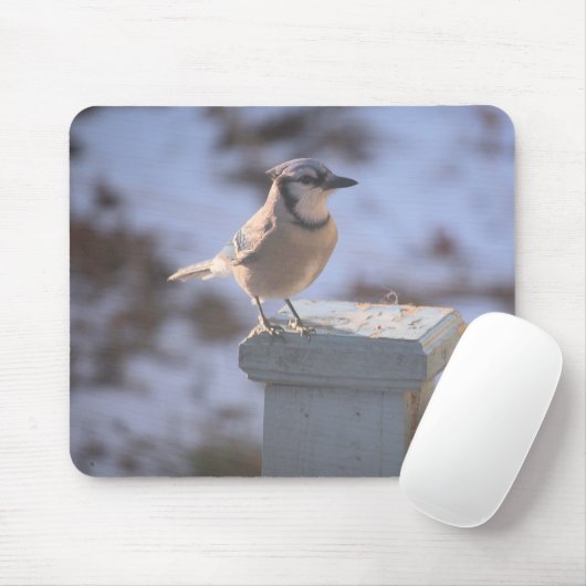 Blue Jay Mousepad (Mit Mouse)