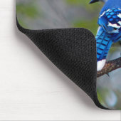 Blue Jay Mousepad (Ecke)