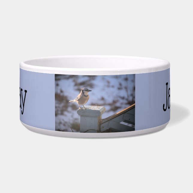 Blue Jay Napf (Vorderseite)