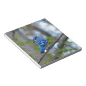 Blue Jay Notizblock (angewinkelt)