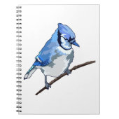 Blue Jay Notizblock (Vorderseite)