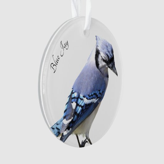Blue Jay Ornament (Vorderseite)