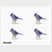 Blue Jay Ovaler Aufkleber (Blatt)