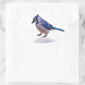 Blue Jay Ovaler Aufkleber (Tasche)