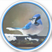 Blue Jay Painting - Original Bird Art Aufkleber (Vorderseite)