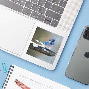 Blue Jay Painting - Original Bird Art Aufkleber