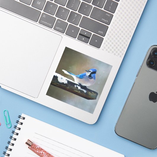 Blue Jay Painting - Original Bird Art Aufkleber (Laptop mit iPhone)