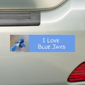Blue Jay Painting - Original Bird Art Autoaufkleber (Auf Auto)