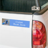 Blue Jay Painting - Original Bird Art Autoaufkleber (Auf Lkw)