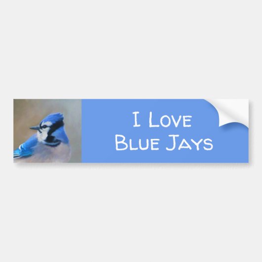 Blue Jay Painting - Original Bird Art Autoaufkleber (Vorne)