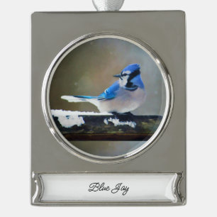 Blue Jay Painting - Original Bird Art Banner-Ornament Silber