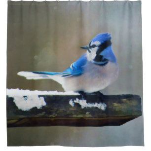 Blue Jay Painting - Original Bird Art Duschvorhang